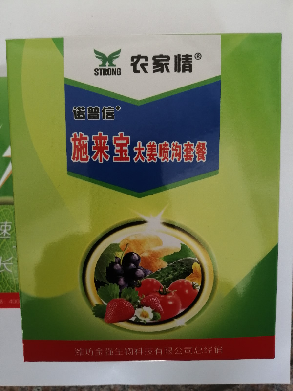 �󽪇����ײ�