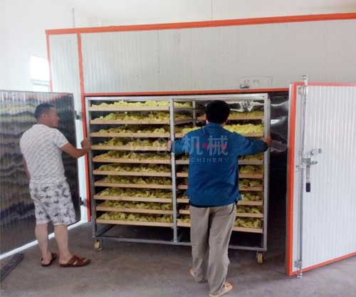 花卉烘干機(jī)